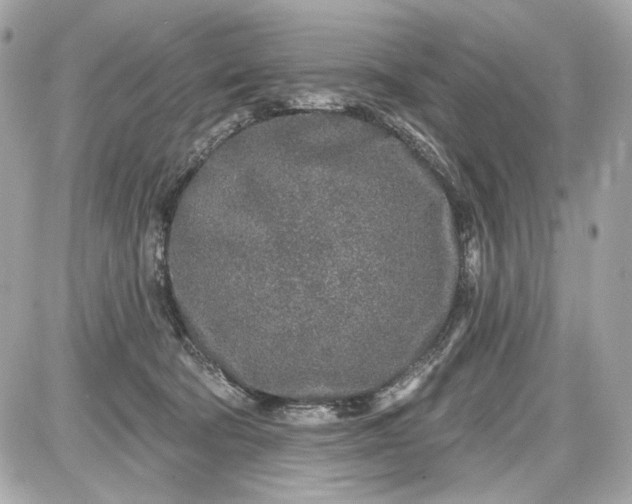 X0000087570322200705112219