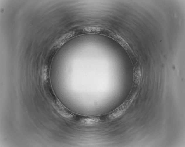 X0000087570323200705112219