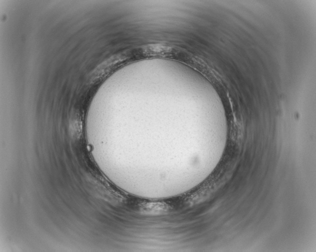 X0000087570324200705112219