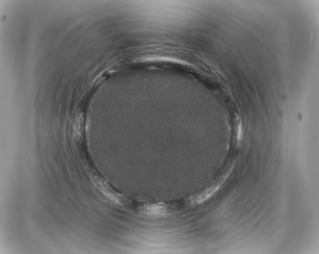 X0000087570325200705112219