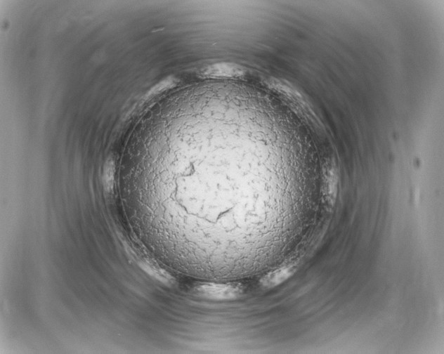 X0000087570326200705112219