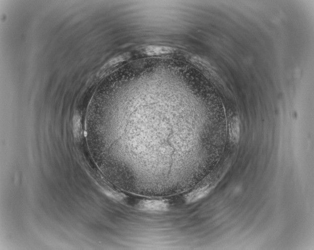 X0000087570327200705112219