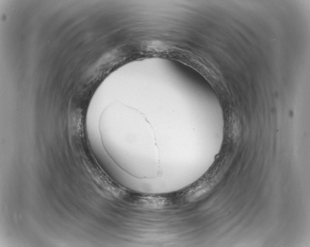 X0000087570328200705112219