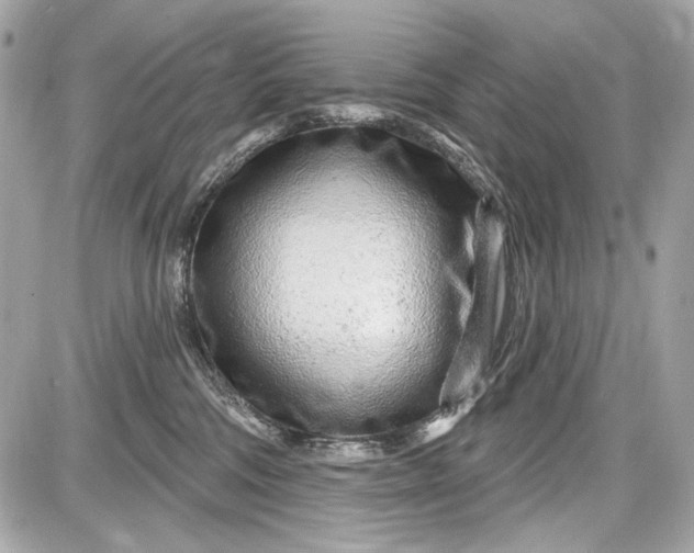 X0000087570330200705112219