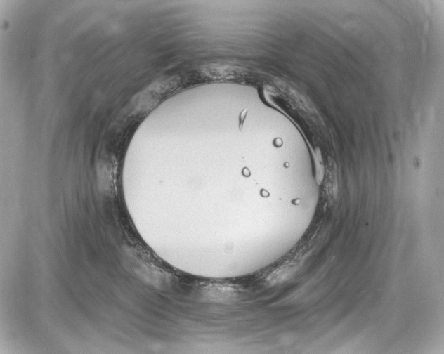 X0000087570332200705112219