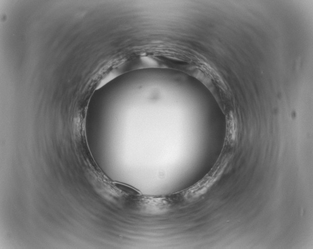 X0000087570333200705112219