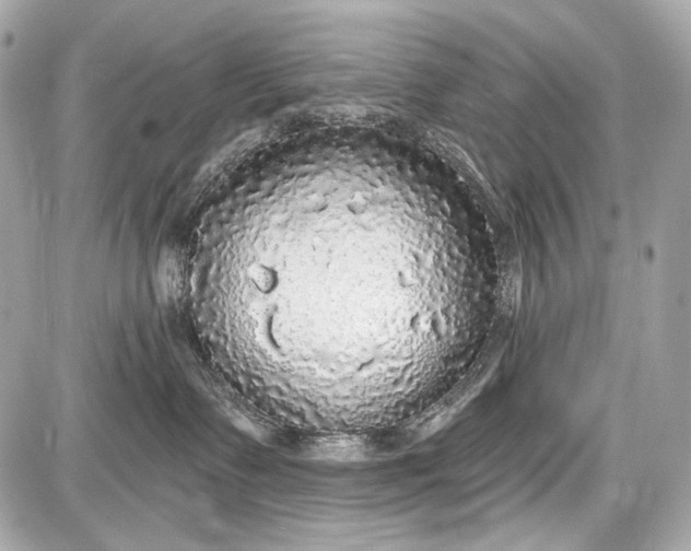 X0000087570335200705112219