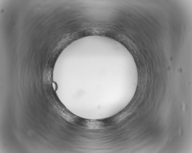 X0000087570336200705112219