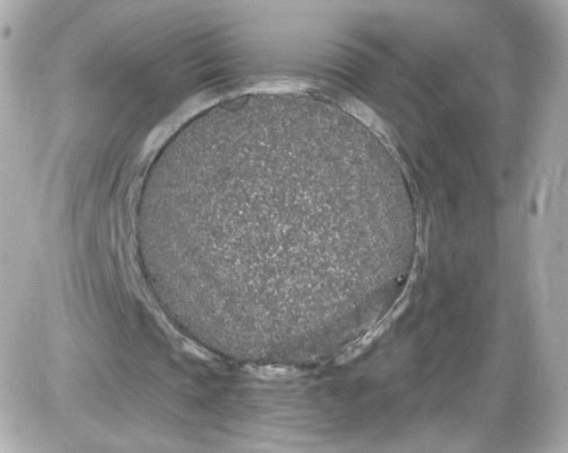 X0000087570337200705112218