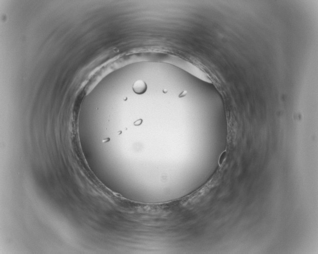 X0000087570338200705112218