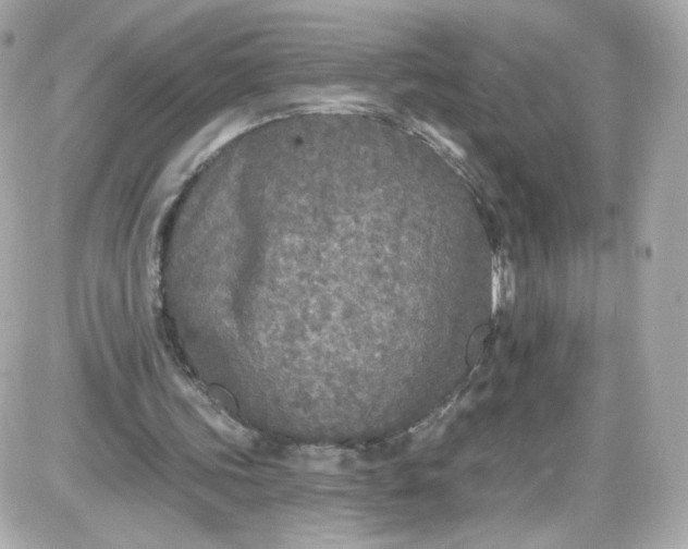 X0000087570339200705112218