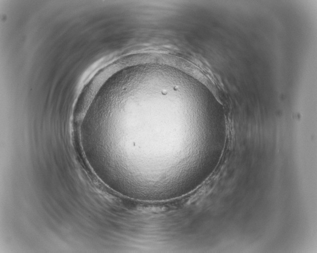 X0000087570340200705112218