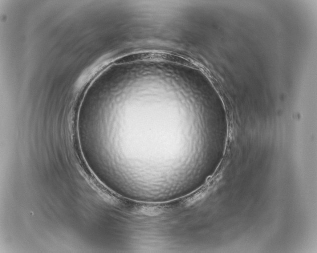 X0000087570341200705112218