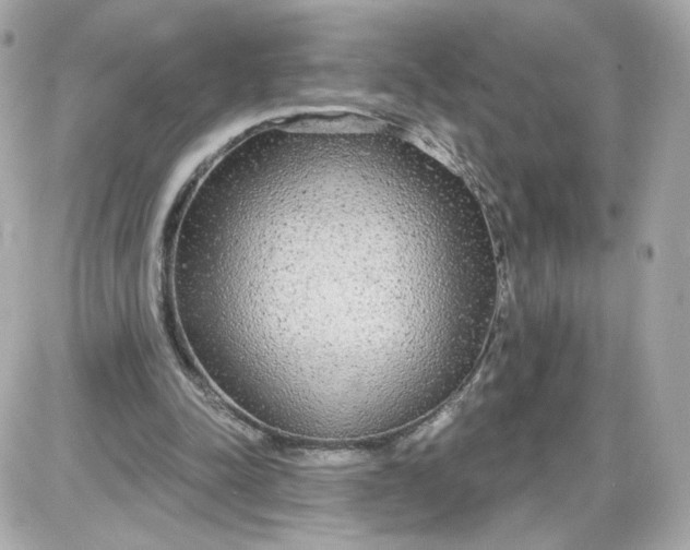 X0000087570342200705112218