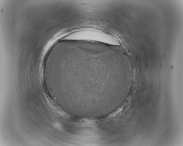 X0000087570343200705112218