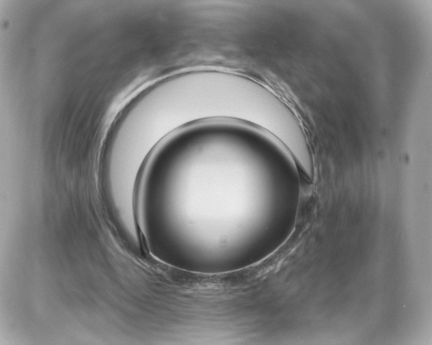 X0000087570344200705112218