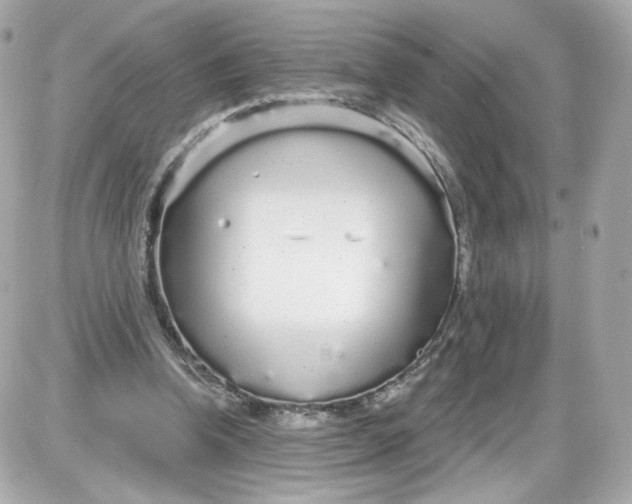 X0000087570346200705112218