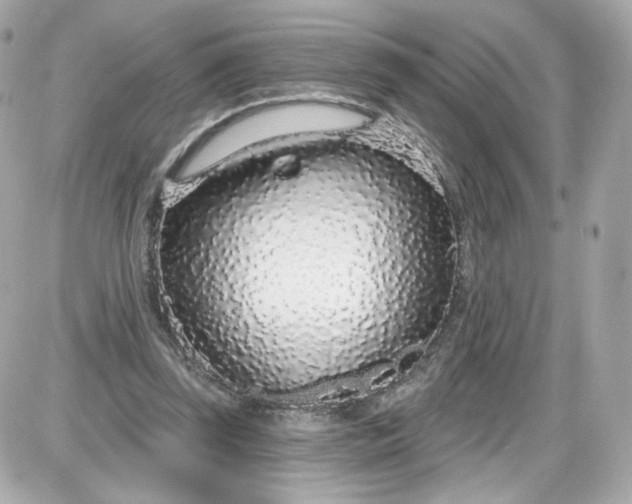 X0000087570347200705112218