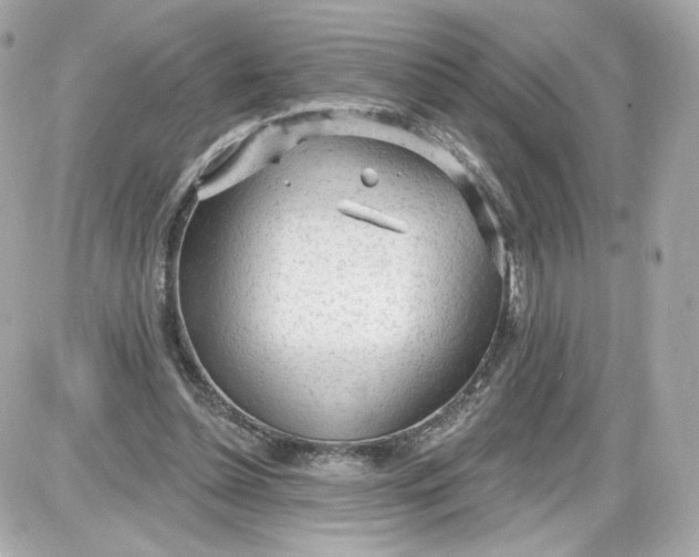 X0000087570348200705112218