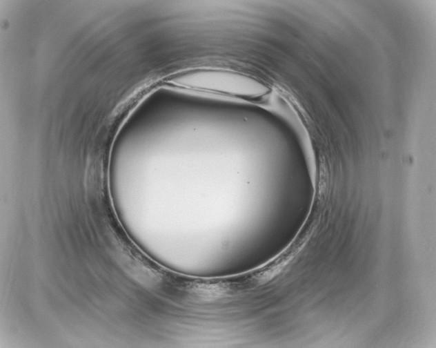 X0000087570349200705112218