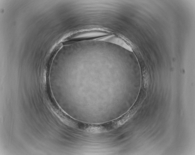 X0000087570350200705112218