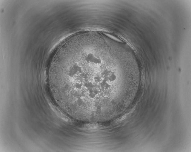 X0000087570351200705112218