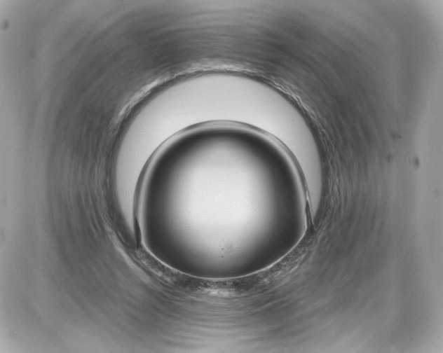 X0000087570352200705112218