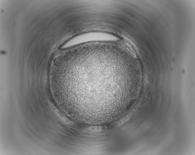 X0000087570353200705112218