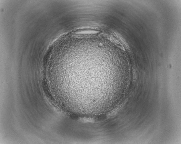 X0000087570354200705112218