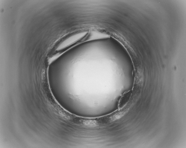 X0000087570355200705112218