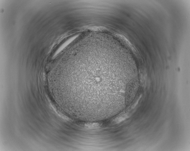 X0000087570357200705112218