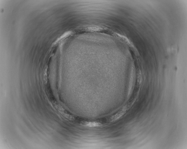 X0000087570360200705112218