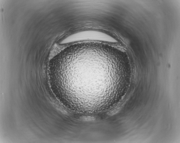 X0000087570361200705112218