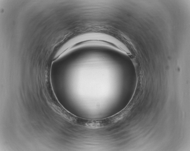 X0000087570362200705112218