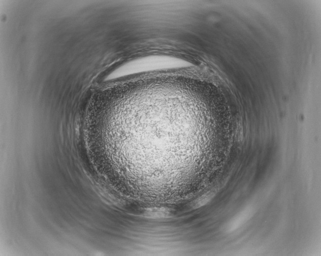 X0000087570363200705112218