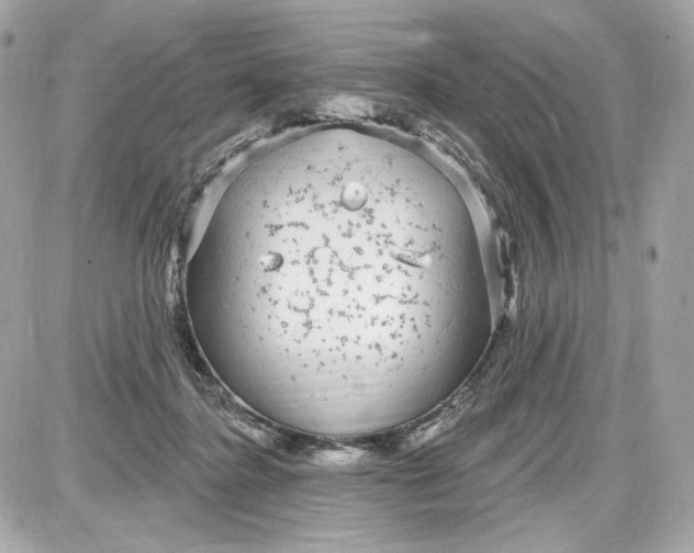 X0000087570364200705112218