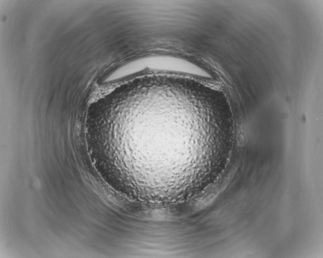 X0000087570365200705112218