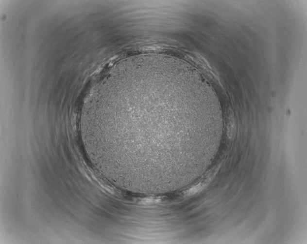 X0000087570366200705112218