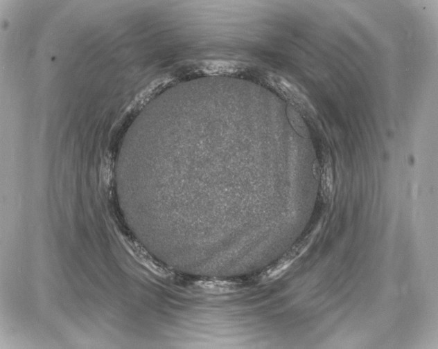 X0000087570367200705112218