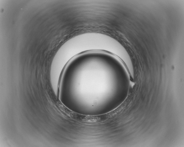 X0000087570368200705112218