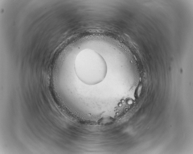 X0000087570370200705112218