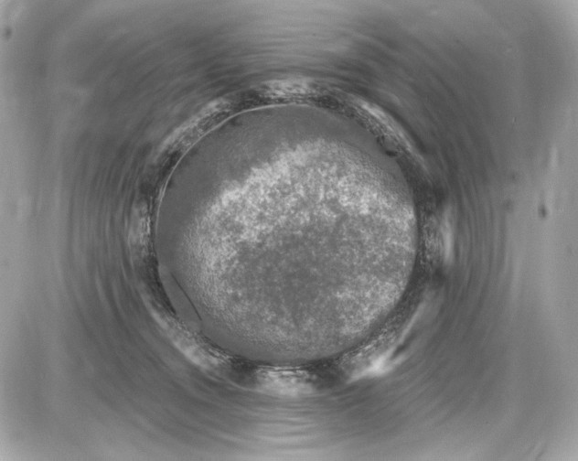 X0000087570372200705112218