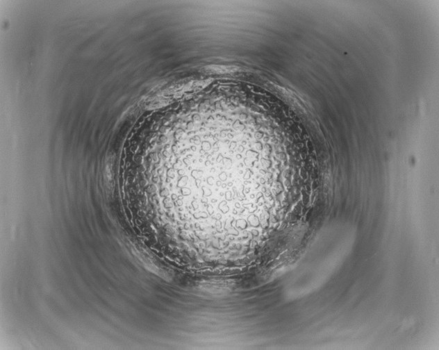 X0000087570373200705112218