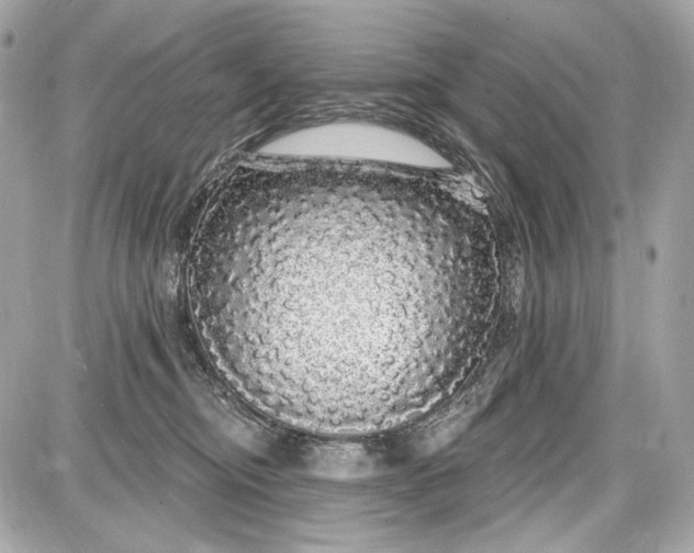 X0000087570374200705112218