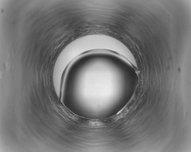 X0000087570376200705112218