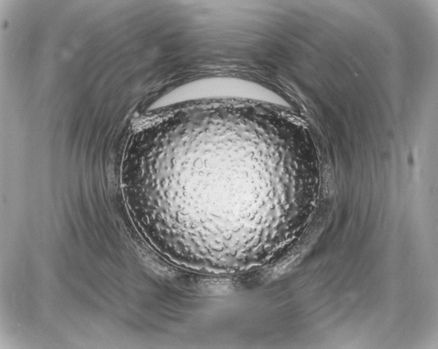 X0000087570377200705112218