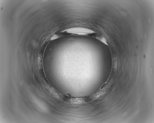 X0000087570378200705112218