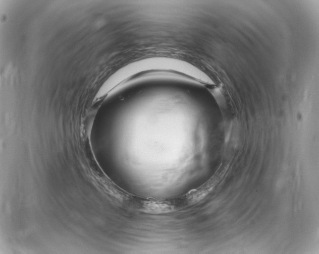 X0000087570380200705112219