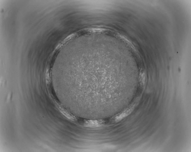 X0000087570381200705112219