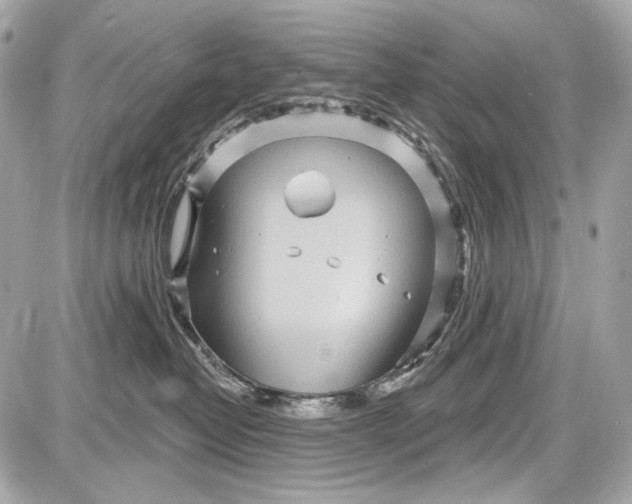 X0000087570382200705112219